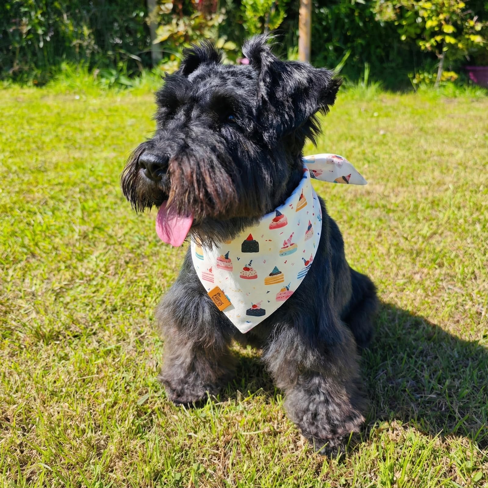 Furry Whisper Dog Birthday Bandana, Reversible Soft Breathable Adjustable Pet Scarf for Medium & Large Dogs, Party Photo Outfit for Boy or Girl, Colorful Cakes Stripes, M Fits Up to 18"
