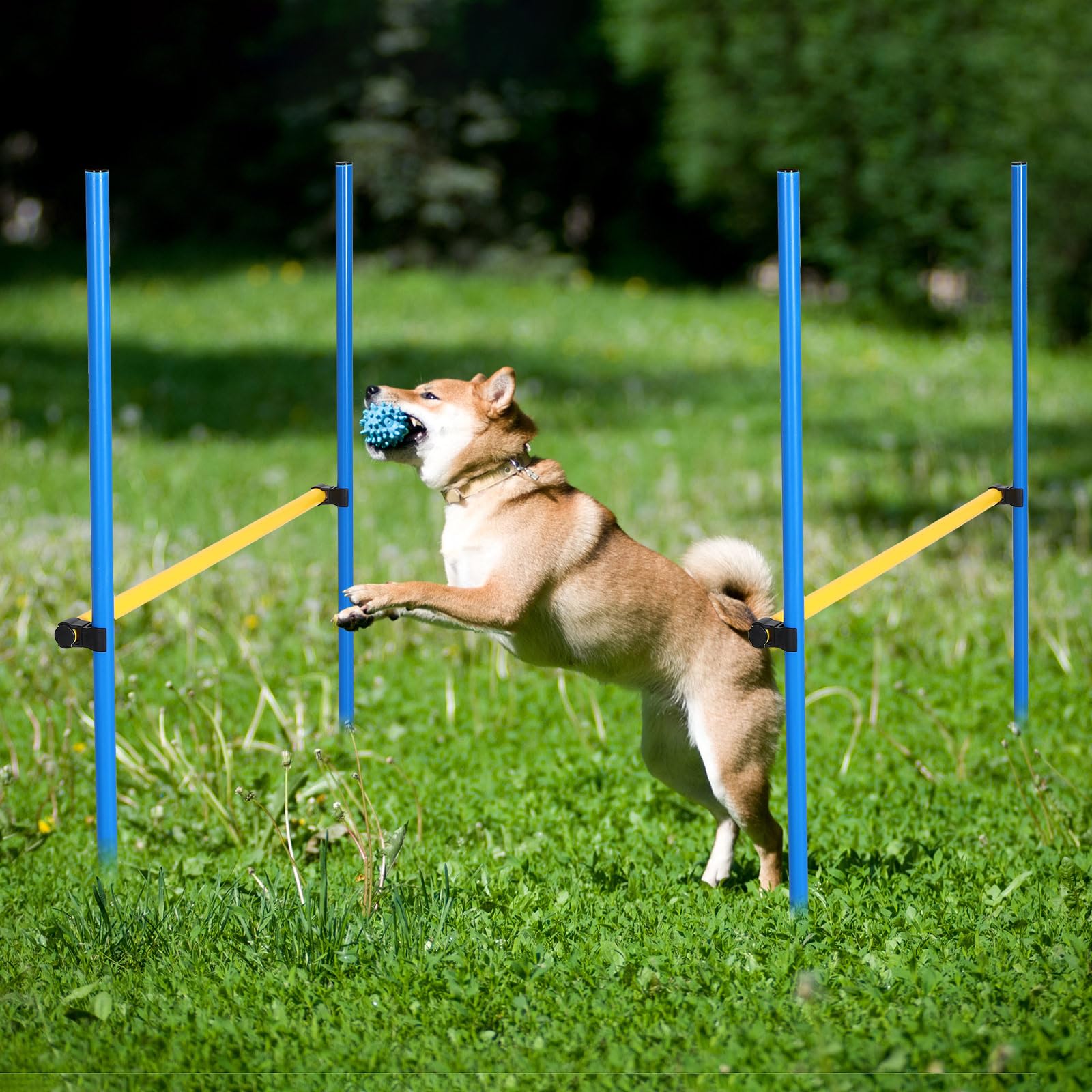 Hollowfly 8 Set Dog Agility Jump Adjustable Dog Agility Hurdle Training Equipment Portable Jumper Hurdle Park Indoor Outdoor Exercise Tool 3.44ft High/ 2.95ft Wide(Blue and Yellow)
