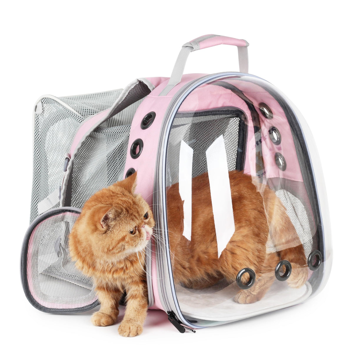 Lollimeow Expandable Bubble Cat Carrier Backpack, Supports up to 16 lbs