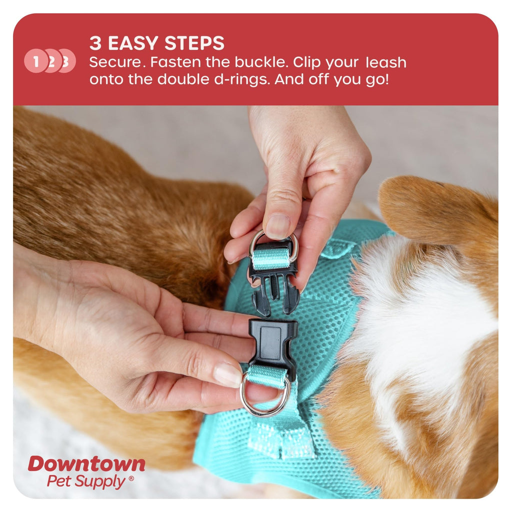 Downtown Pet Supply Step-in Dog Harness – No Pull, Adjustable Padded Mesh with Reflective Trim, Secure Buckle Strap – Comfortable & Breathable Small Dog Harness, Large, Light Blue