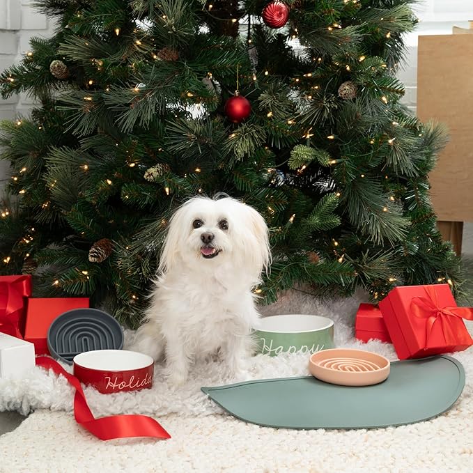 Should We Go - Waterproof Silicone Pet Food Mat - Non-Slip, Spill-Proof Feeding Mat for Floors, Raised Edge Design, Easy-to-Clean, Rubber Pad for Dog & Cat Bowls, 28" Across x 14" Deep, Large-Spruce