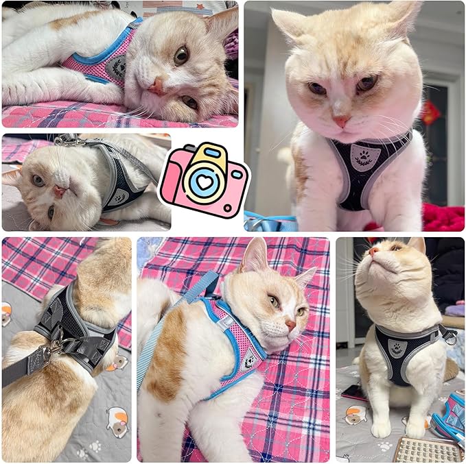 SCENEREAL Cat Harness and Leash Set Escape Proof, Adjustable Soft Air Mesh Kitten Harnesses for Girls Boys Small Medium Big Cats, Reflective Light Travel Pet Walking Vest for Puppy Rabbit, Pink XL