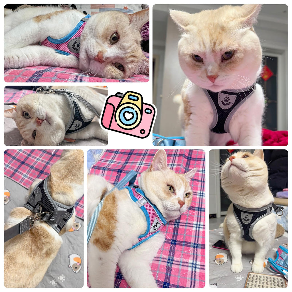 SCENEREAL Cat Harness and Leash Set Escape Proof, Adjustable Soft Air Mesh Kitten Harnesses for Girls Boys Small Medium Big Cats, Reflective Light Travel Pet Walking Vest for Puppy Rabbit, Pink L