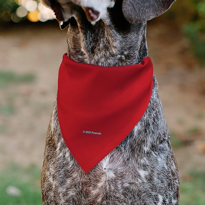 Peanuts Pet Bandana Slide On Slip Through