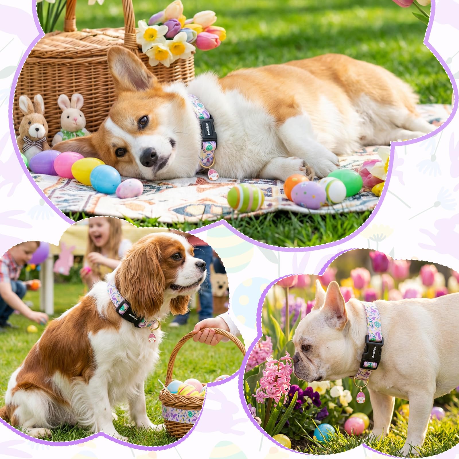 Astdogio Easter Dog Collar, Spring Easter Egg Print Dog Collar with Purple Rabbit, Adjustable Cotton Puppy Collars Girl Boy Collar for Small Medium Large Dogs -XS