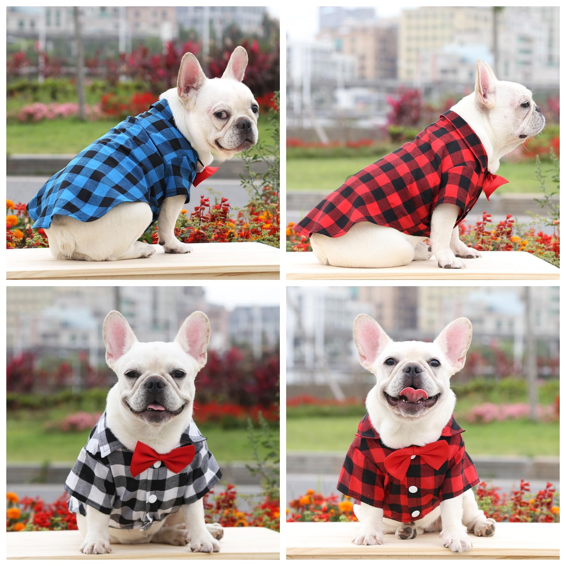 Tongcloud 3 Pack Plaid Puppy Cat & Dog Shirts for Extra Small Dogs & Cats - Birthday Party & Holiday Photos (Red, Blue & White, XX-Large)