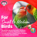 Super Bird Creations SB186 Vine Ball Candy Cane Bird Toy, Small/Medium Bird Size, 9" x 4"