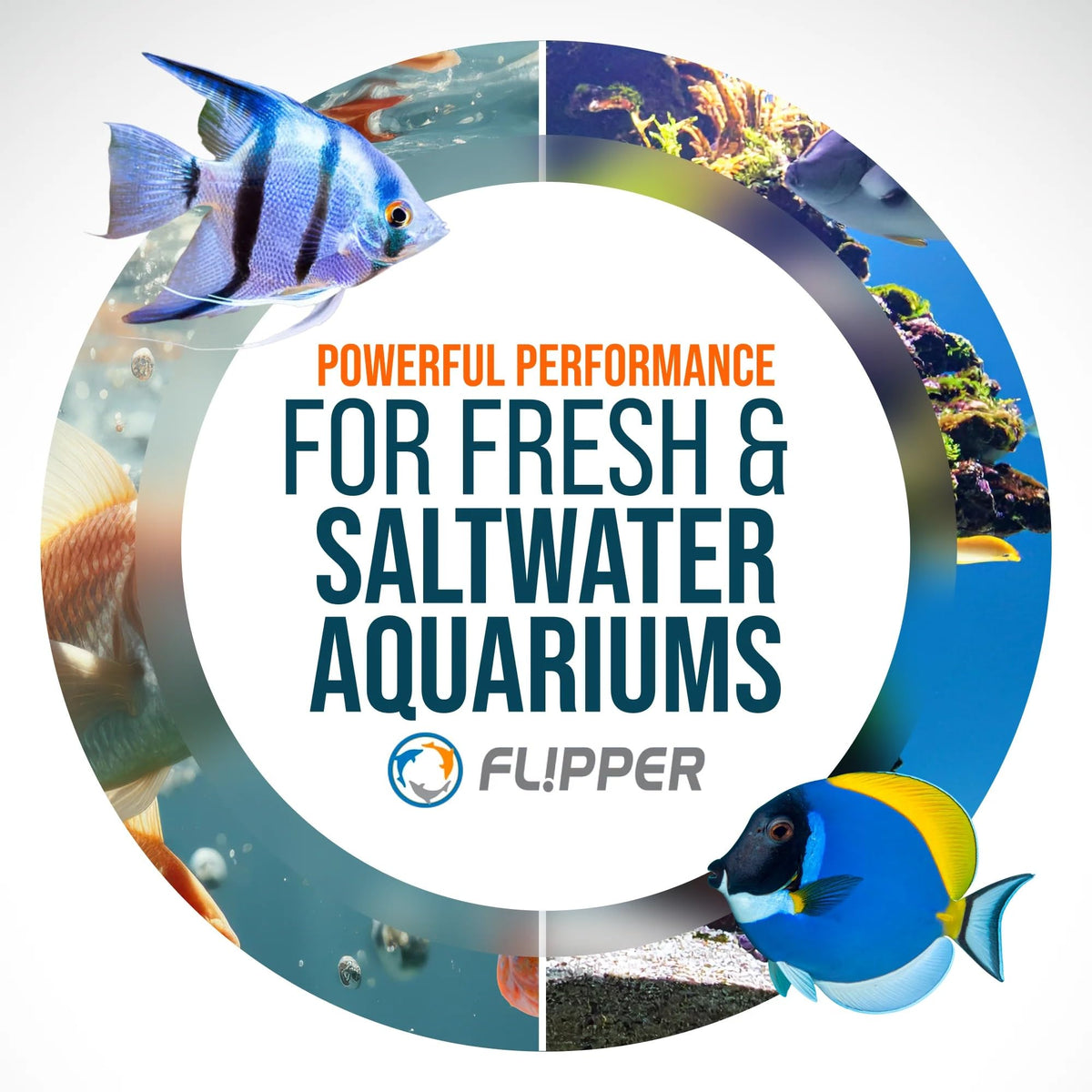 FL!PPER Pico Aquarium Glass Cleaner - Magnetic Fish Tank Cleaner, Scrubber & Scraper, Algae Remover, Aquarium Cleaning Tools