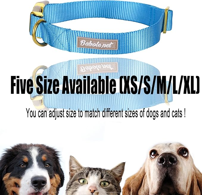 Nylon Dog Collar - Adjustable Blue Soft Webbing Dog Collars for Small Medium Large Dogs Boy Girl Puppy Collar with Safety Metal Buckle M