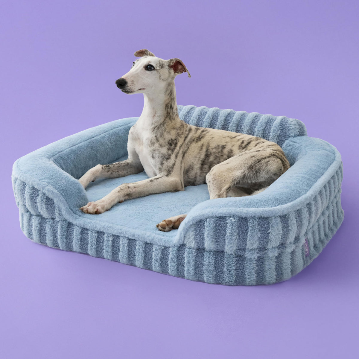 LE SURE Cute Cozy High Back Orthopedic Dog Beds Large Sized Dog,35" Beige