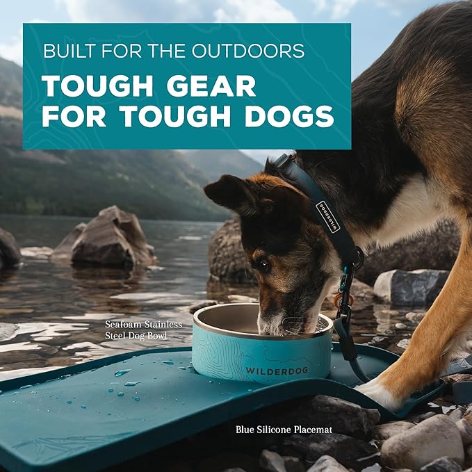 Wilderdog Silicone Pet Placemat Made with 100% Food-Grade Silicone Cone, BPA, PVC, and Phthalate-Free. Non-tocix, Dishwasher Safe Feeding mat for Bowls with Spill Catcher and Raised Mountain Logo