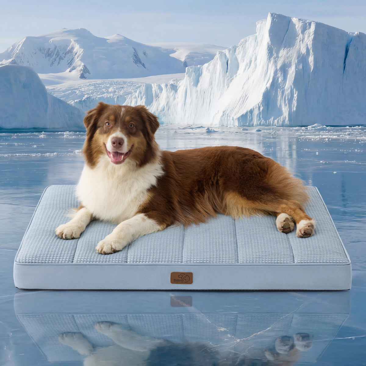 Bedsure Small Dog Bed, Cat Puppy Bed with Comfy Sherpa, 24"x16" Dark Grey