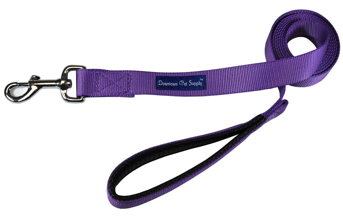 Downtown Pet Supply 4ft Heavy-Duty Dog Leash - Padded Comfort Handle & Stainless Steel Fastener - Durable Training Leash - 0.75in Wide - Blue