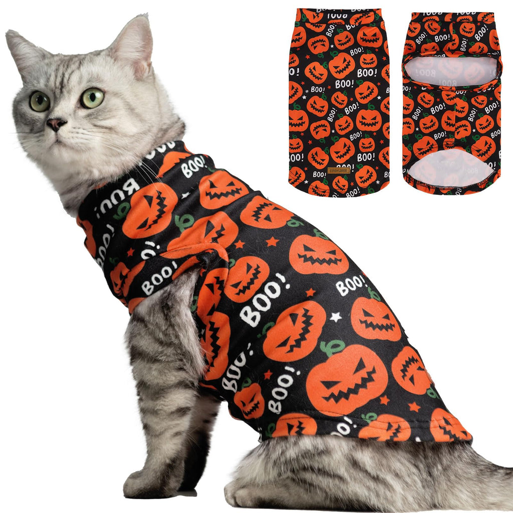 EXPAWLORER Halloween Cat Sweater Warm Fleece Pet Clothes for Cats Only