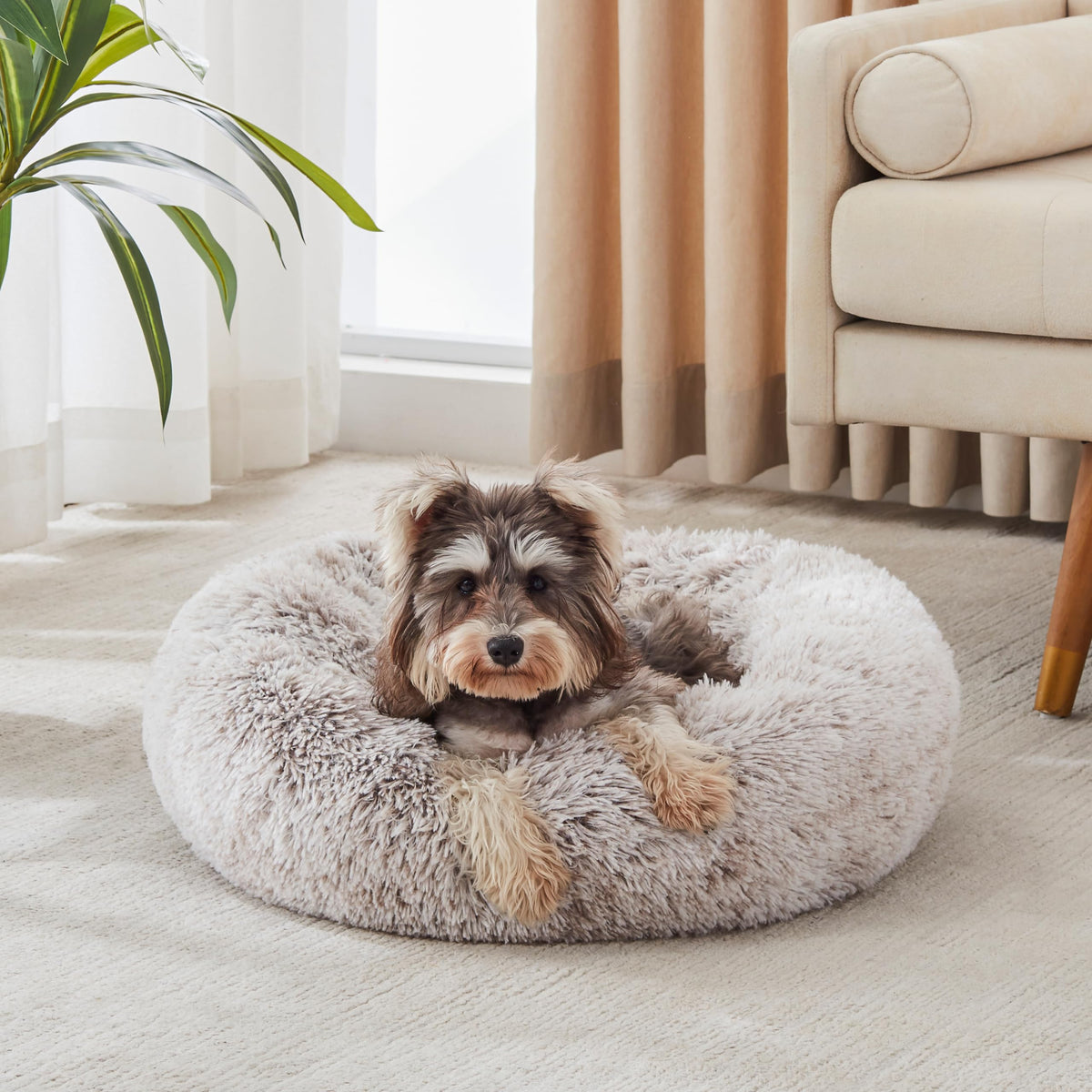 Western Home Calming Donut Small Dog Cat Bed Washable Puppy Bed,24" Rainbow
