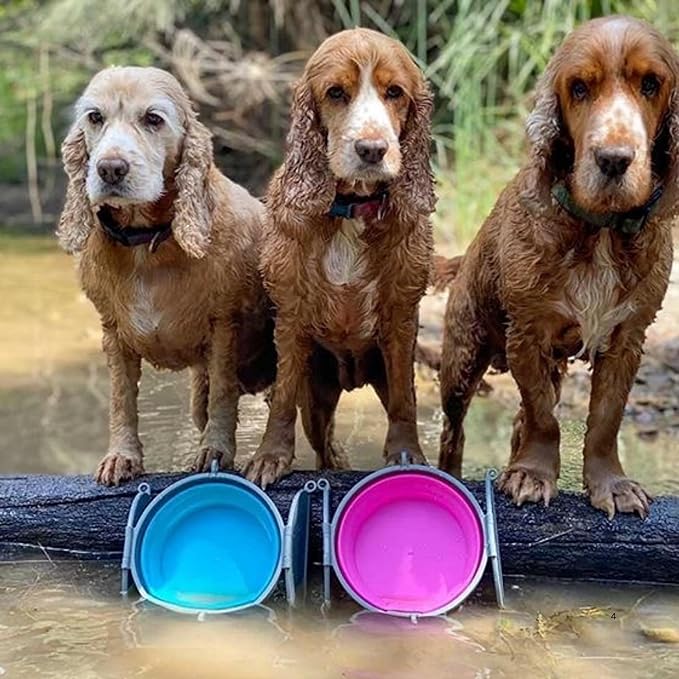 Loving Pets Bella Roma Collapsible Dog Bowls - Silicone Dog Bowls, Foldable Bowl, Puppy Essentials & Hiking Pet Supplies Great for Home & Travel (Pink, Medium)