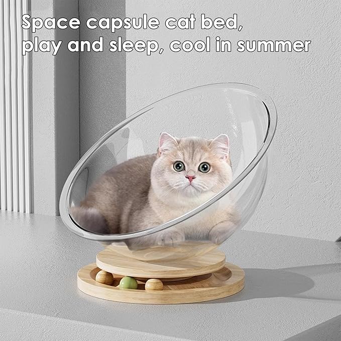 Cat Perch- Cute Freestanding Cat Space Perch Bed, Stylish Stable Activity Center Space Cat Bed | Easy Cleaning Transparent Cat House Set, Perfect Cat Furniture Pet Supplies for Kittens Sleeping