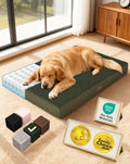 OhGeni Orthopedic Waterproof Large Dog Bed, Memory Foam, 41 inch(Green)