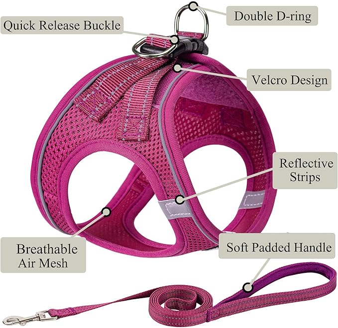 Dog Harness with Leash Set, No Pull Adjustable Reflective Step-in Puppy Pet Vest Harnesses for Small Medium Large Dogs and Cats,Rose Red XXS