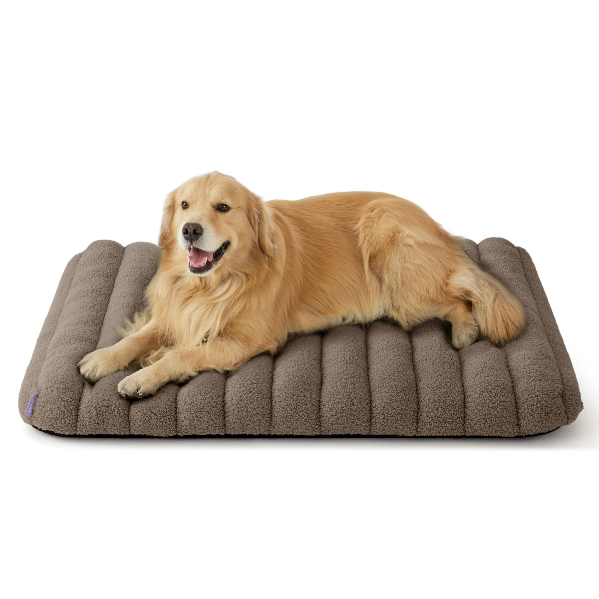 LE SURE Cute Orthopedic Dog Bed Medium Size Dog, Waterproof Chic Flat Pet Beds with Removable Washable Cover, Fuzzy Thick Egg Crate Foam Pet Mat for Indoor Use (30" x 20", Brown)