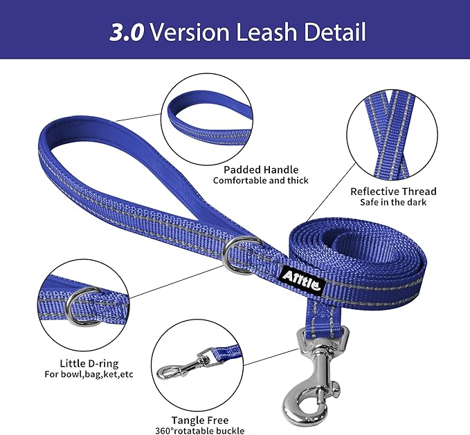 AIITLE Step in Dog Harness and Leash Set - No Pull Escape Proof Vest Harnesses with Soft Mesh and Reflective Bands, Adjustable Pet Outdoor Harnesses for Small and Medium Dogs Royal Blue M