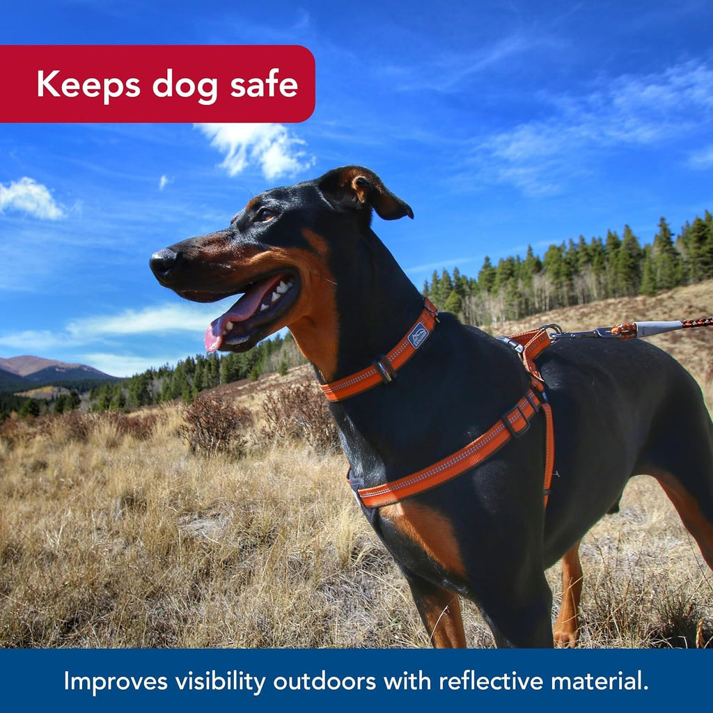 Coastal Pet K9 Explorer Reflective Adjustable Padded Dog Harness - Plush Chest Pad for Comfort - No-Pull Dog Harness for Small and Large Dogs - Berry - 5/8" x 12"-18", X-Small