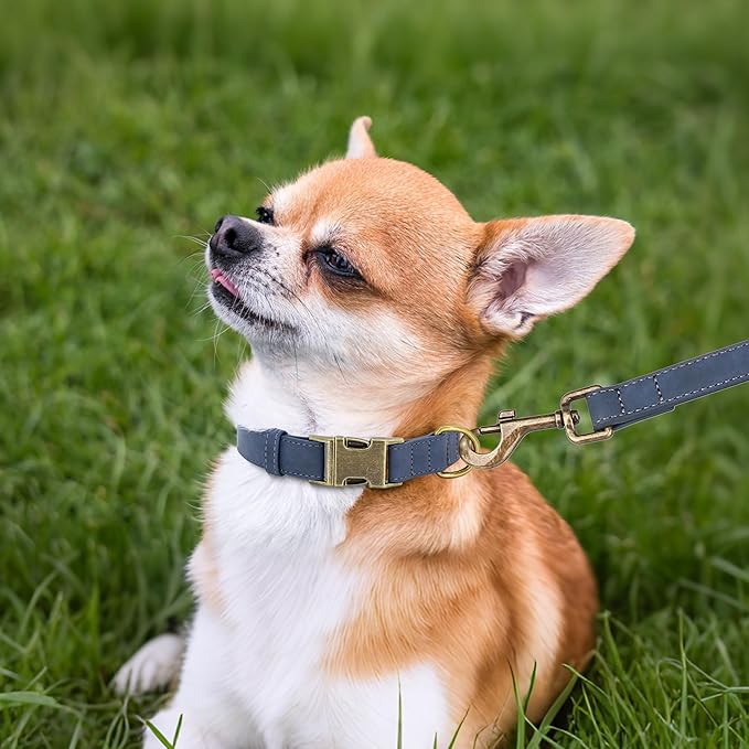 Didog Soft PU Leather Dog Collar, Stylish Quick Released Dog Collars for Small Dogs, Easy Clean Adjustable Pet Collar for Daily Walking, Blue, S Fit 10-15" Neck