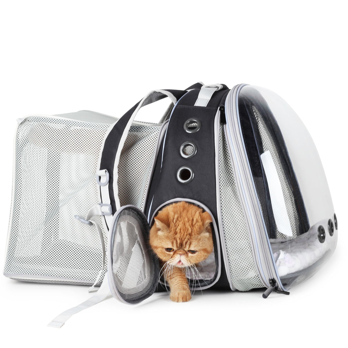 Lollimeow Expandable Bubble Cat Carrier Backpack, Supports up to 16 lbs