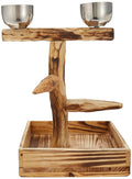 PENN-PLAX Bird-Life Natural Wood Tree Perch for Small and Medium Birds – Includes Food and Water Bowls with Drop Tray – Medium