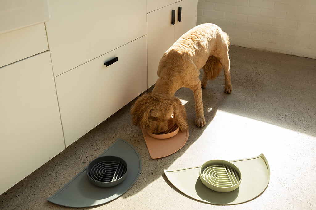 Should We Go? Waterproof Silicone Dog Food Mat – Medium Size Non-Slip Pet Bowl Mat, Raised Edge Design, Easy-to-Clean Pet Food Placemat for Dog & Cat Bowls, 21" Across x 10.5" Deep - Charcoal