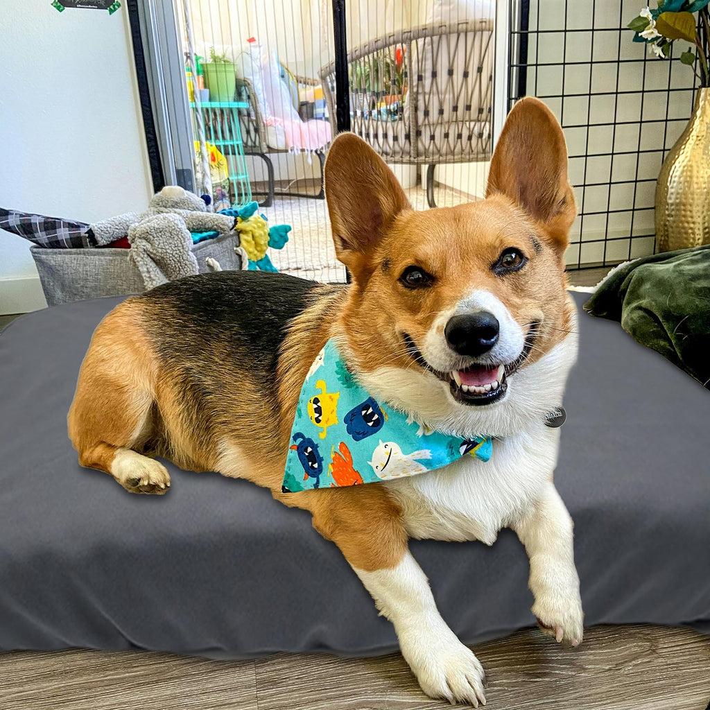 Dog Bed Cover Waterproof Replacement Machine Washable Covers for Dog Bed Heavy Duty Scratch Resistant Mattress Protector Pet Bed 24x18 Inch Grey Cover Only