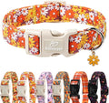 Babole Pet Fall Dog Collar Vintage Daisy Puppy Collar - Hippie Flower Dog Collars Light Comfortable Adjustable Pet Collars for Small Medium Large Girl Boy Dogs S
