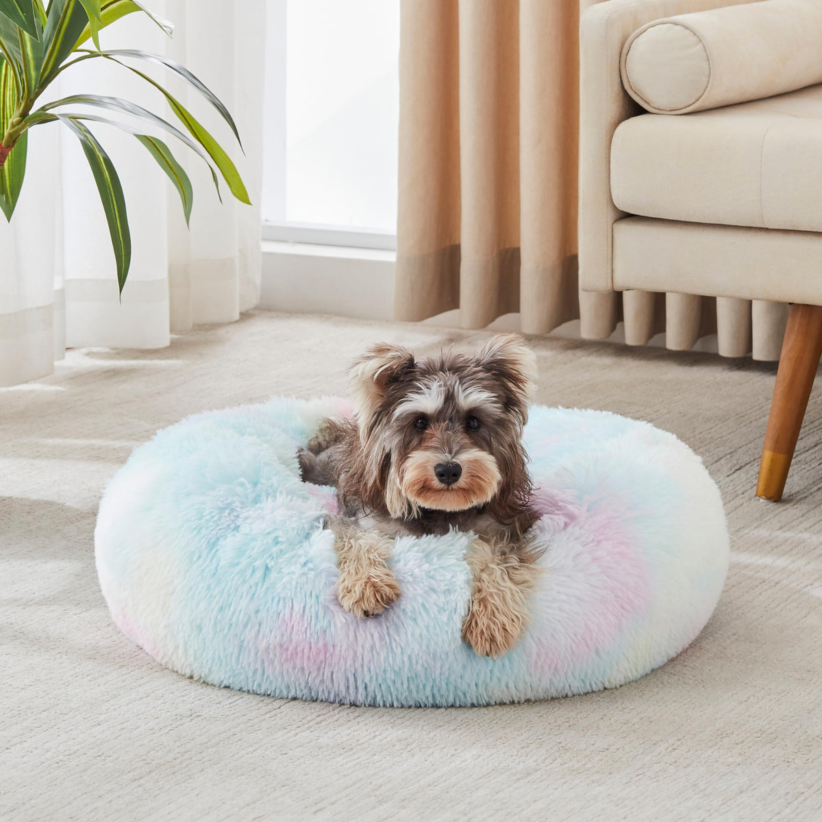 Western Home Calming Donut Small Dog Cat Bed Washable Puppy Bed,24" Rainbow
