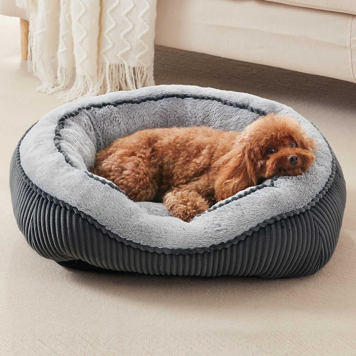 SIWA MARY Washable Dog Bed Medium Size Dogs, Orthopedic Pet Bed