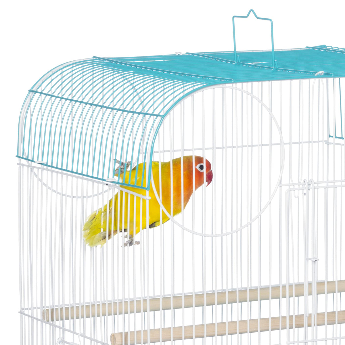 Prevue Pet Products South Beach Flat Top Bird Cage Minimal Assembly - Teal