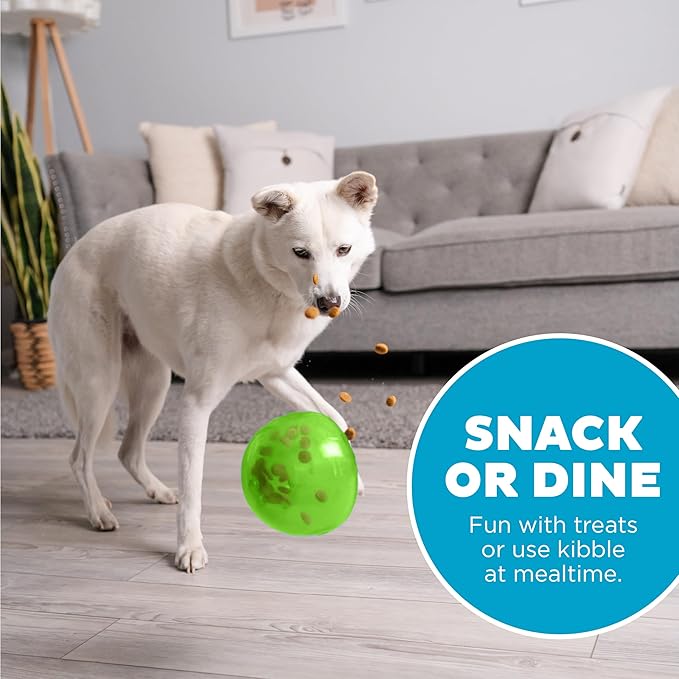Outward Hound Snoop Interactive Treat Dispensing Dog Toy, Green, 5"