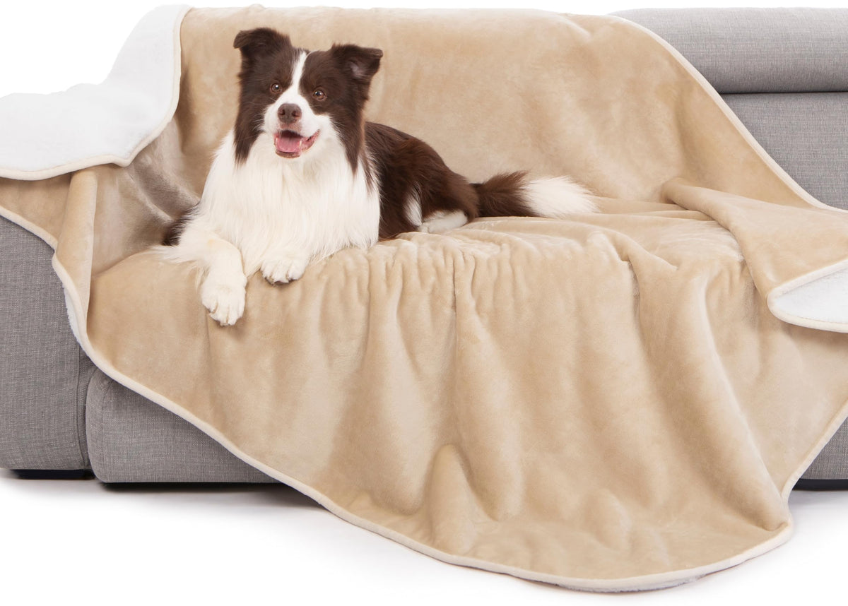 gogobunny Waterproof Bed Blanket, Reversible Sherpa Fleece Throw Blanket for Dog Puppy Cat, Furniture Cover Protects Bed Couch Sofa from Liquid Pee and Pet Fur (Cream, 90x108 inches)