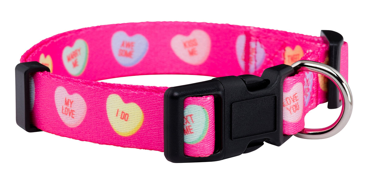 Native Pup Halloween Dog Collar (Large, Bats)