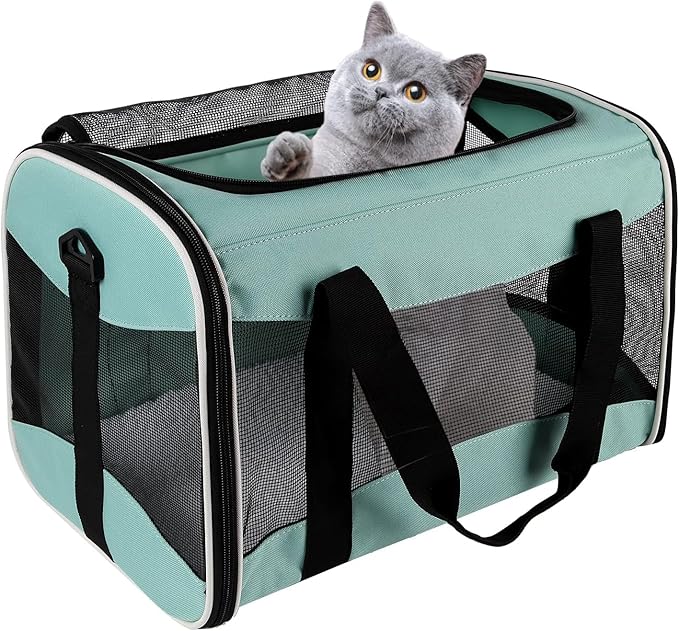 Small Animal Travel, Carrier for Hedgehog Rat Parrot Bird Guinea Pig, Lizards Carrier, Soft Sided Travel Carrier Portable Guinea Pig Up to 10 Lbs (15 * 10 * 10, Green)