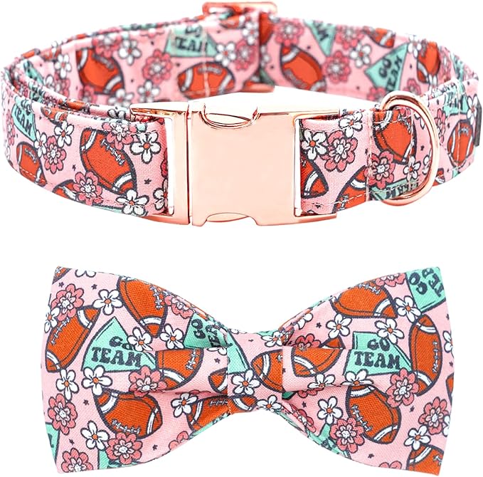 Bobo Rainbow Football & Flower Print Dog Collar with Bow for X-Small Dogs