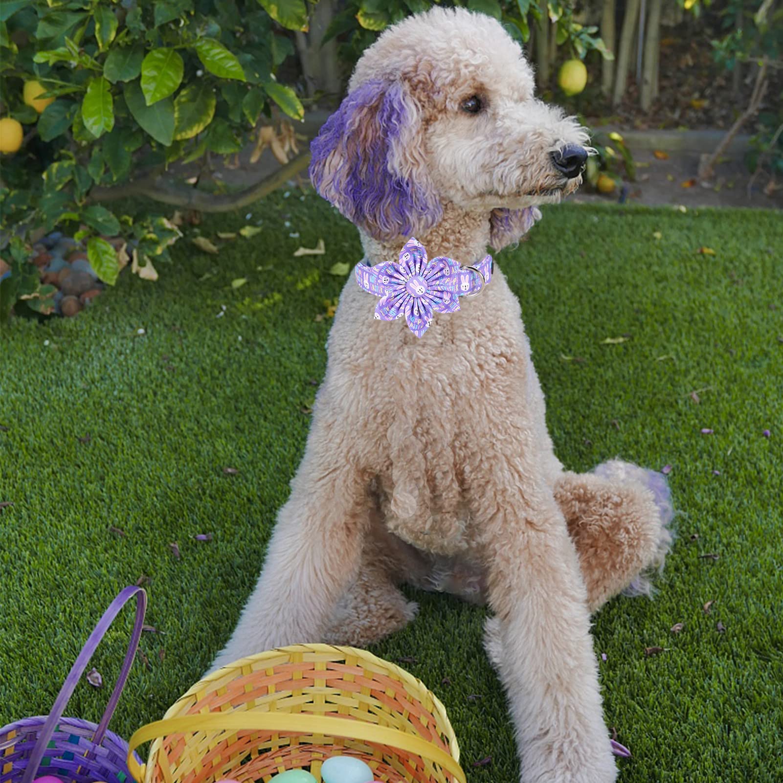 MR. CHUBBYFACE· Easter Dog Collar, Purple Rabbit Pet Collar with Flower, Adjustable Puppy Collar Bowtie for Small Medium Large Dogs