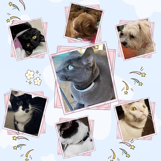 EXPAWLORER Soft Velvet Safe Cat Collars for Girl Cats,Blue & Light Purple