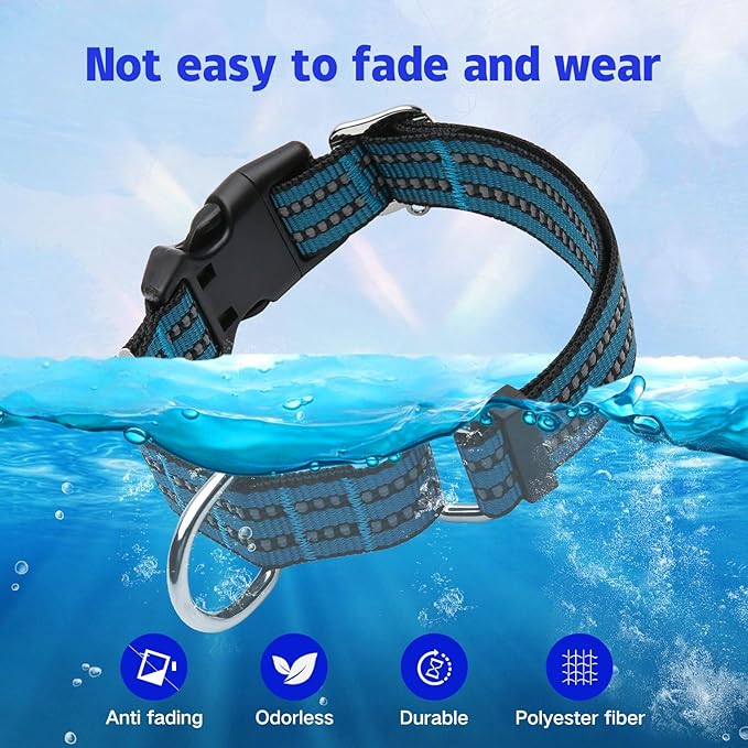 JOYEEIIOO Martingale Dog Collar, Adjustable Nylon Reflective Collar with Quick Release Buckle, No Pull Dog Training Collars for Small Medium Large Dogs (Gentian Blue, Small)