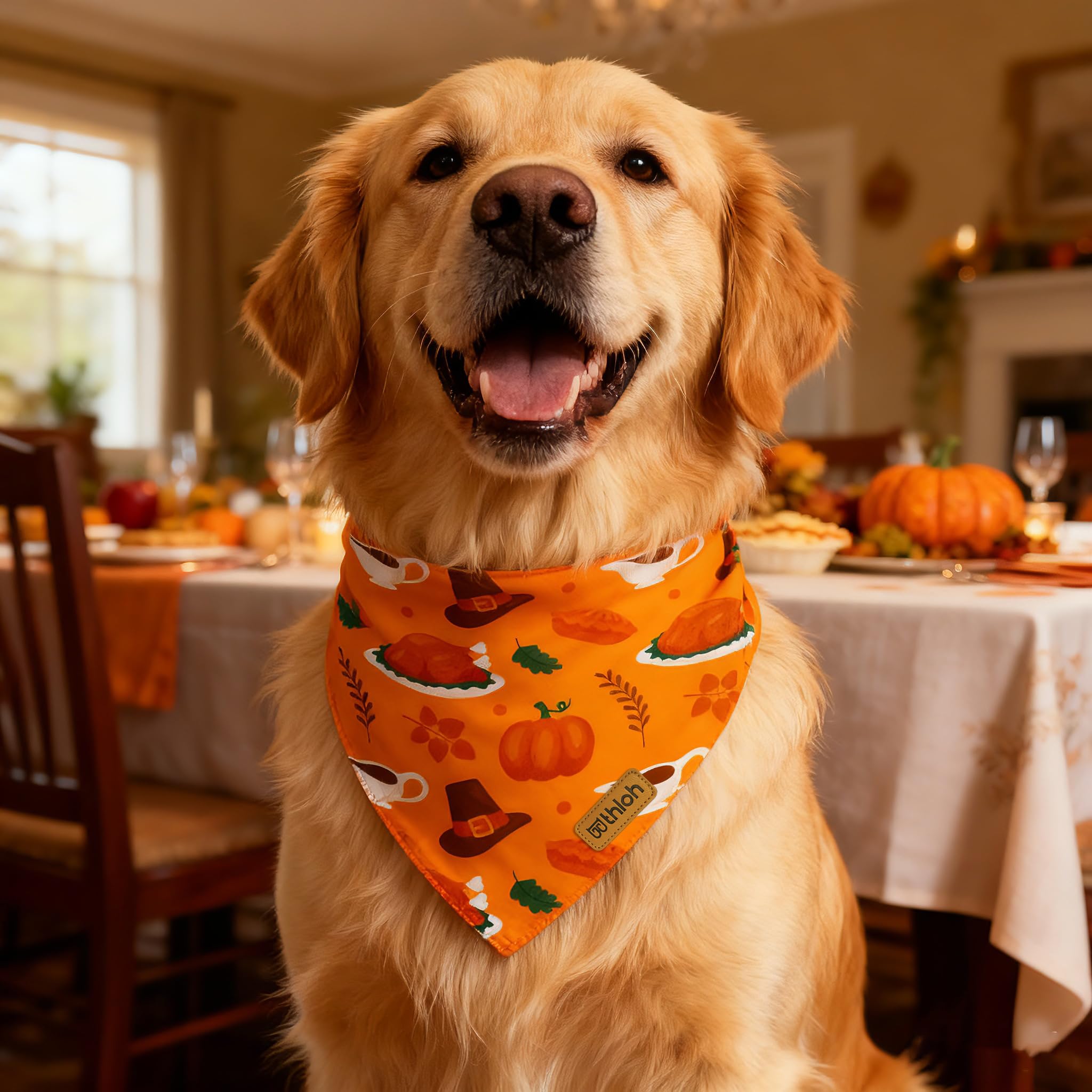 THLOH Thanksgiving Dog Bandanas with Snap Button, 2 Pack Adjustable Fall Bandanas for Small, Medium, and Large Dogs, Pumpkin Pet Scarf for Autumn Costume Accessory & Photo Shoot (Large)