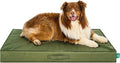 Furhaven Water-Resistant Cooling Gel Dog Bed for Large/Medium Dogs w/ Removable Washable Cover, For Dogs Up to 55 lbs - Indoor/Outdoor Logo Print Oxford Polycanvas Mattress - Forest