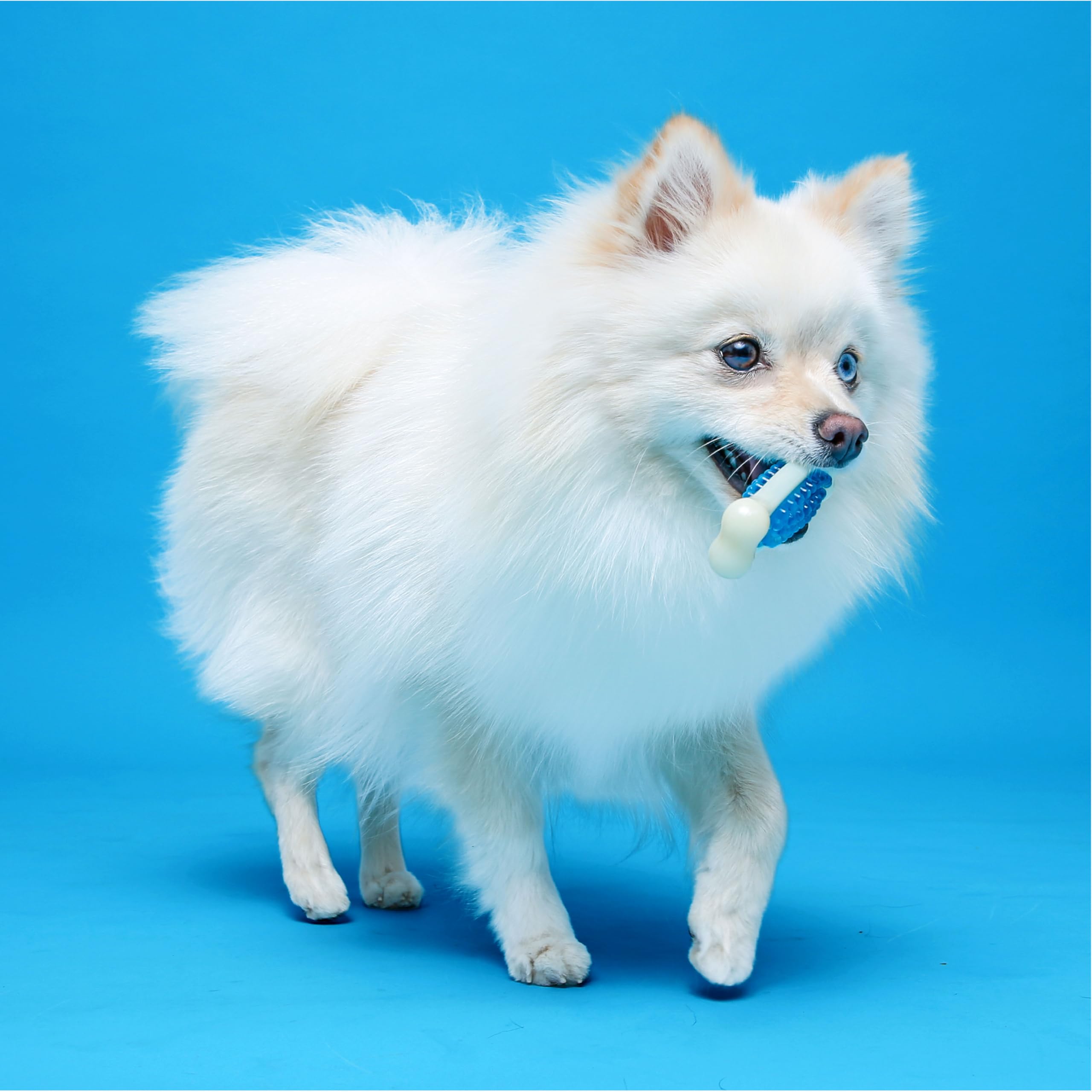 Hartz Chew 'n Clean Tuff Bone Bacon Scented Dental Dog Chew Toy - Large
