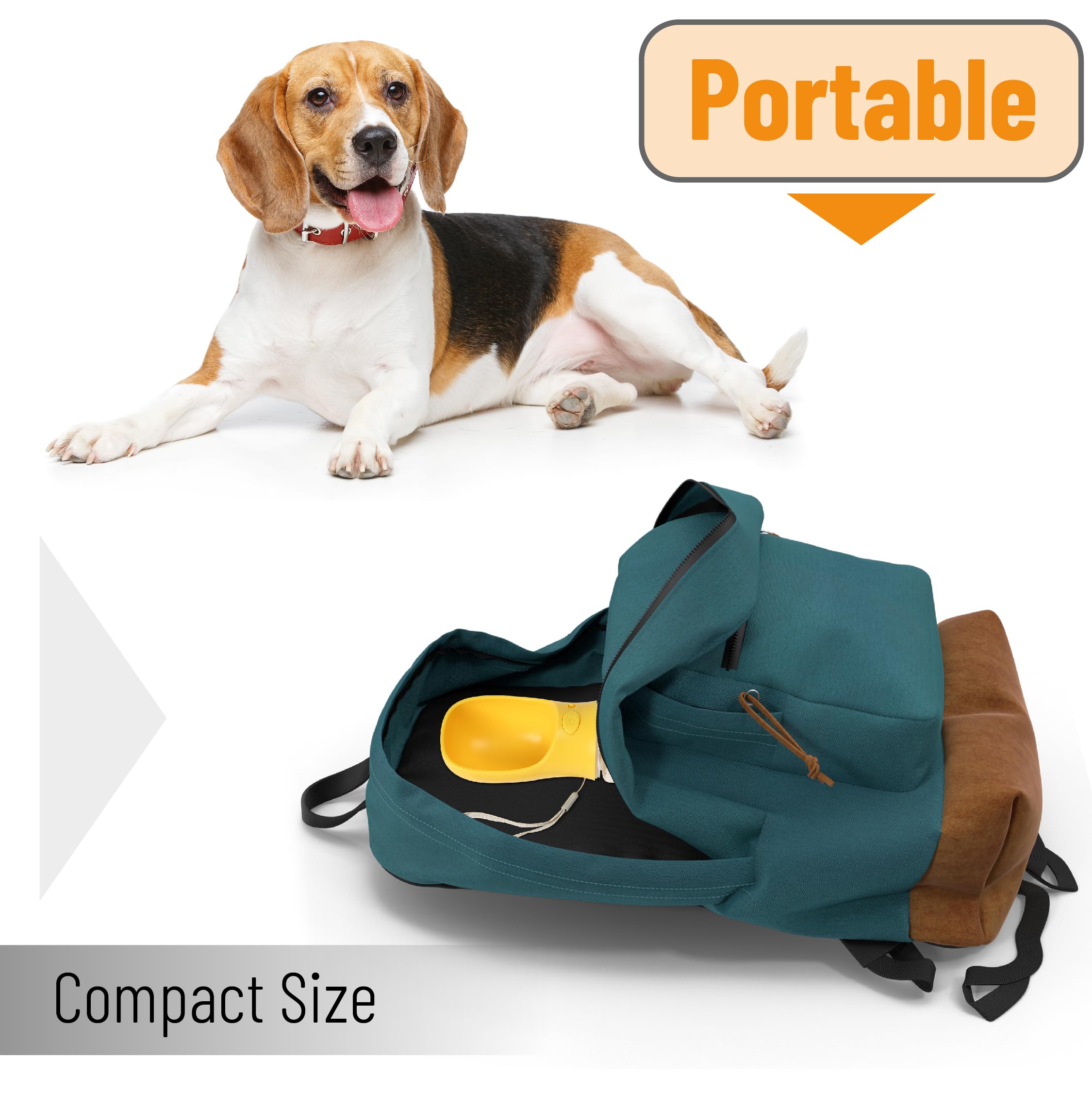 Mr. Pen- Portable Dog Water Bottle, 19 oz, Large