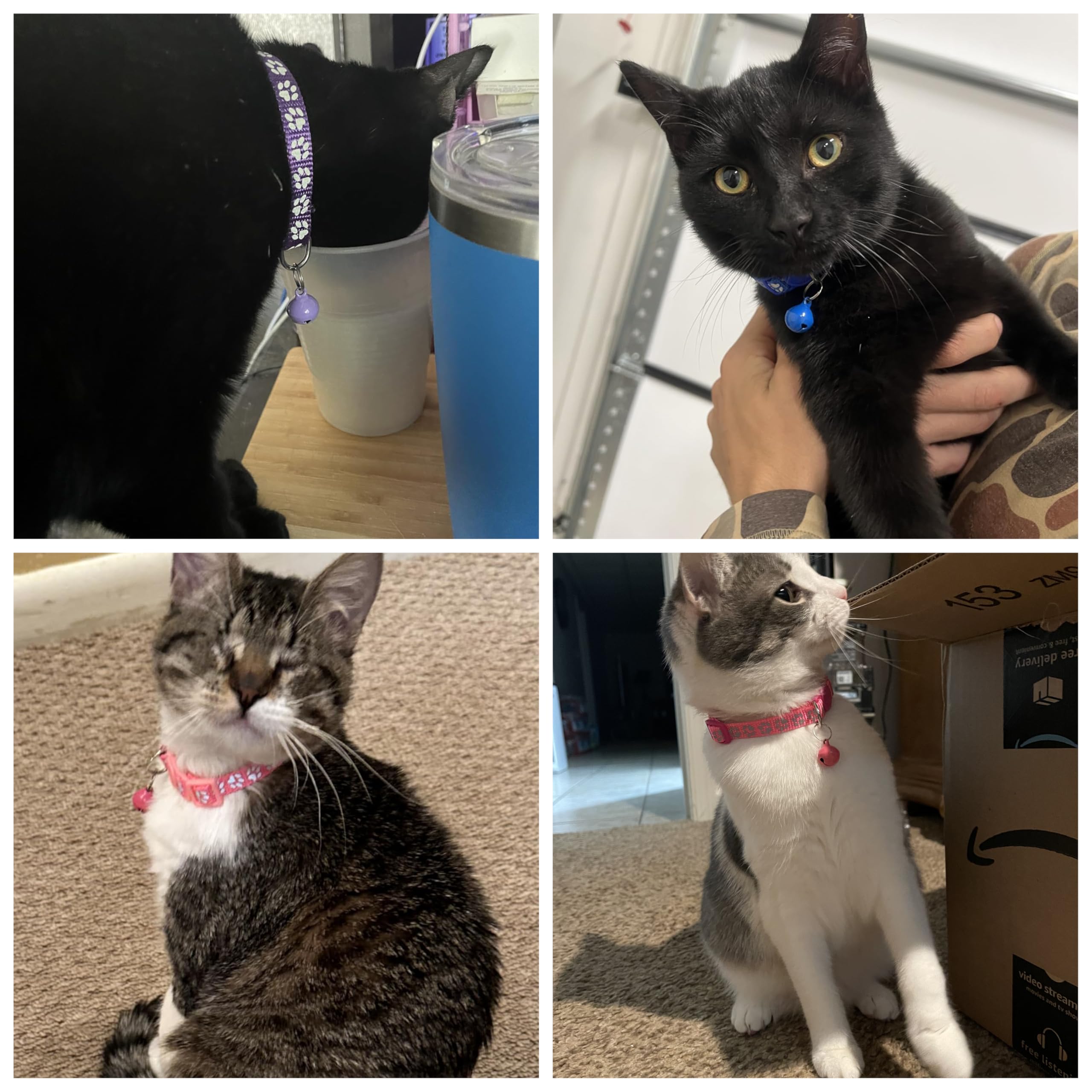 Green Breakaway Kitten Collar with Bells, [2 Pack] Break Away Cat Collar with Bells, Reflective Cat Collar for Girl Cats Boy Kitty