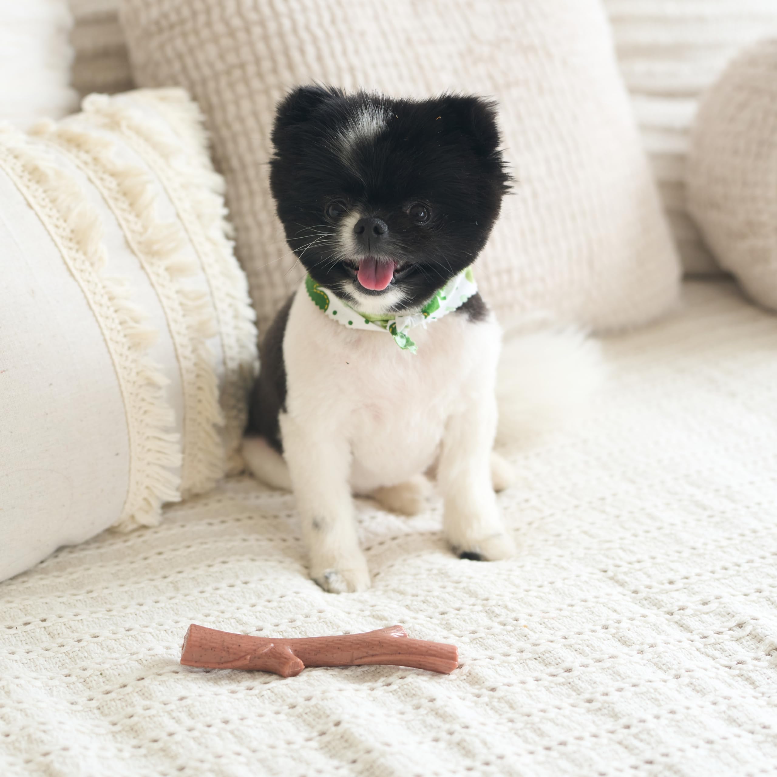 SPOT Bam-Bones Plus Branch -Bamboo Fiber & Nylon, Durable Long Lasting Dog Chew for Aggressive Chewers – Great Toy for Adult Dogs & Teething Puppies Under 60lbs, Non-Splintering, 5.75in, Beef Flavor