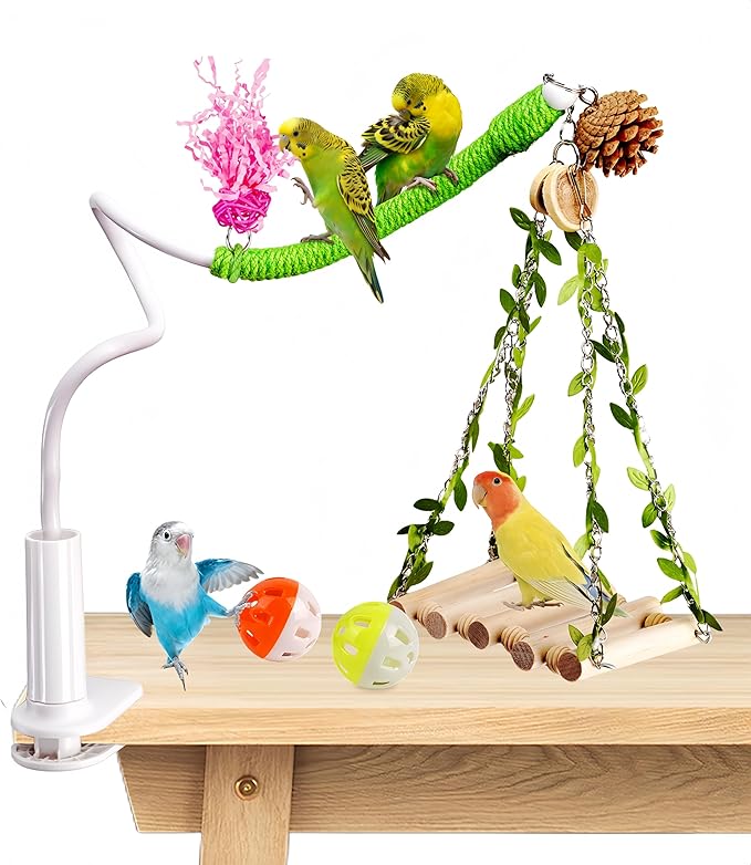 ZooVibe Bird Perch Stand with Swing, Desktop Bird Toy & Stand for Interacting, Interactive Playground for Sun Conure, Lovebirds, Conure, Budgie, Cockatiel - Non-Slip Adjustable Perch